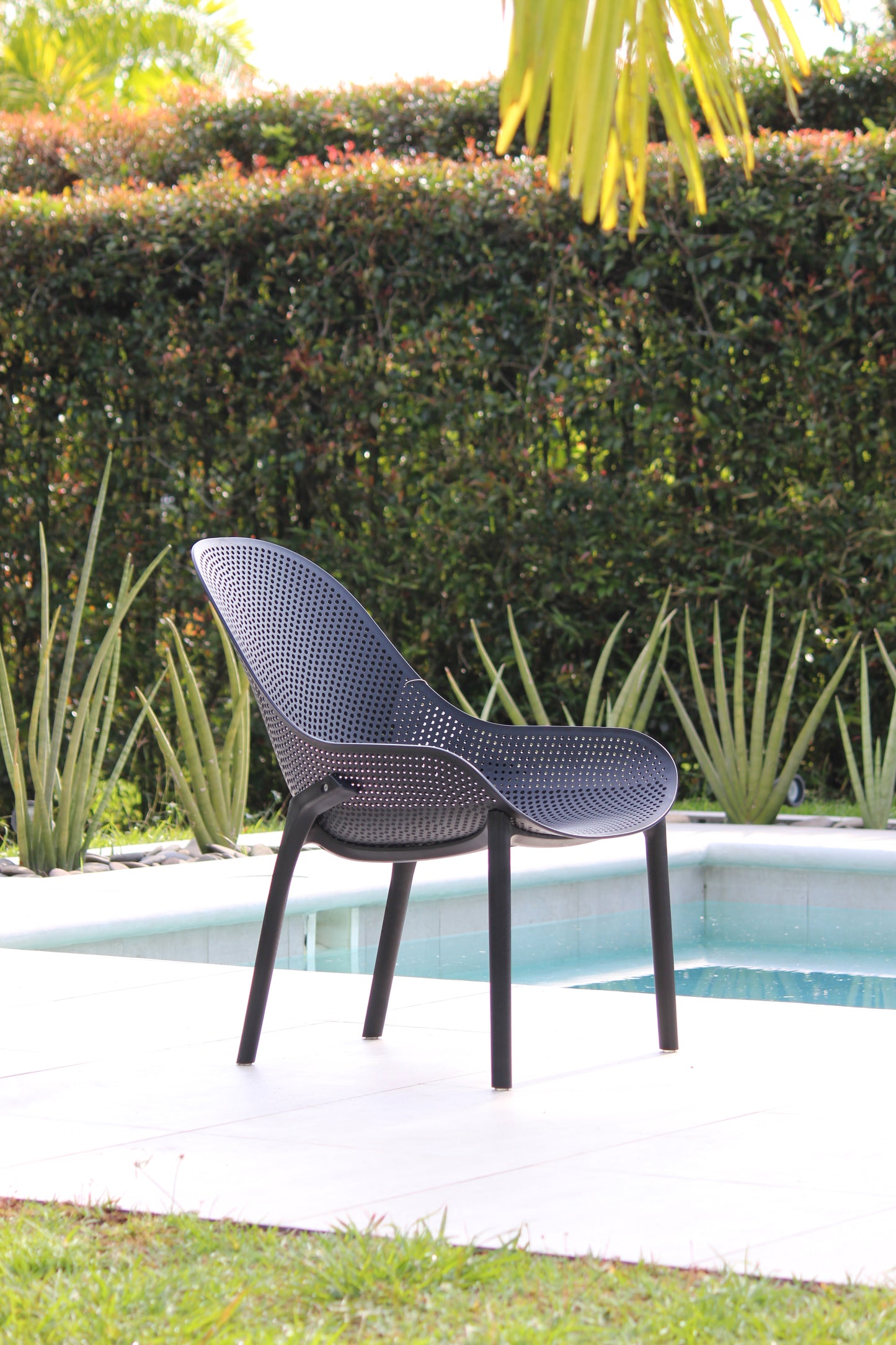 Silla Terra