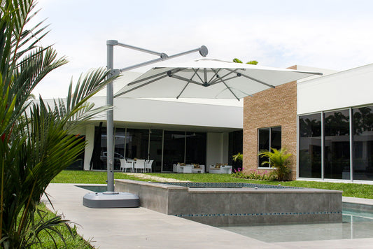 Sombrilla Palma